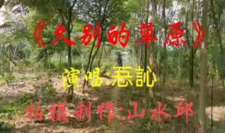 老师教久别的草原视频