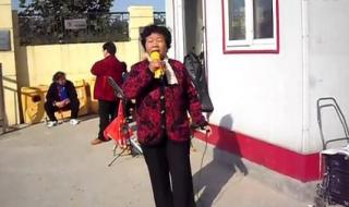 万水千山总是情伴奏