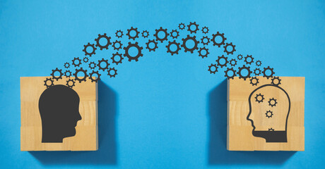 下水道里的美人鱼 解说 下水道的美人鱼中文